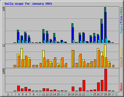 Daily usage for January 2021