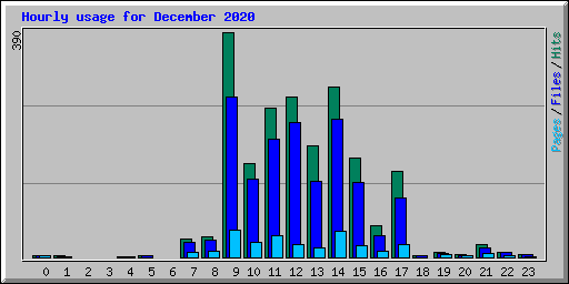 Hourly usage for December 2020