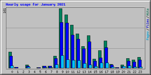 Hourly usage for January 2021